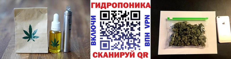 Canna-Cookies конопля Купить закладки Выборг