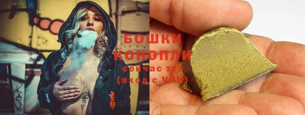 индика Инта