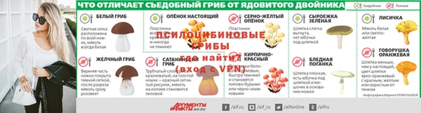 индика Инта