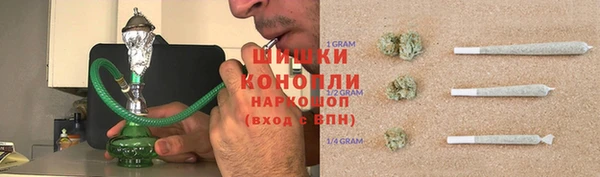 индика Инта