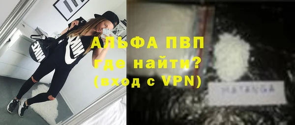 индика Инта