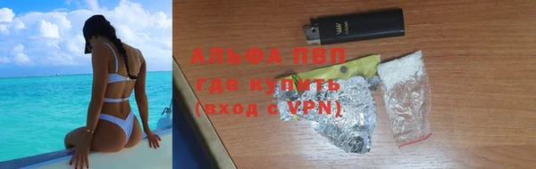 индика Инта