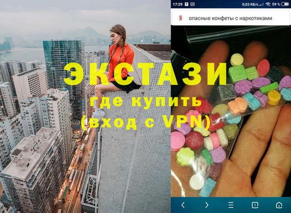индика Инта