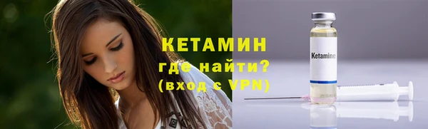 индика Инта