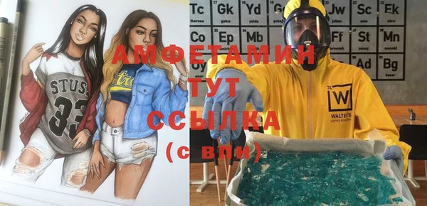 индика Инта