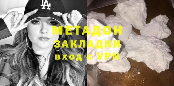 индика Инта