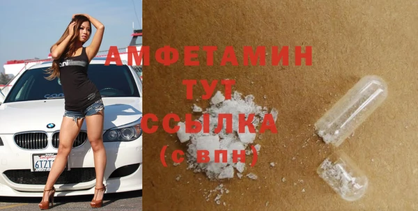индика Инта