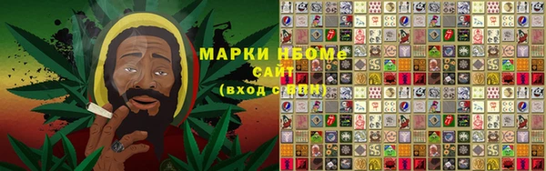 индика Инта