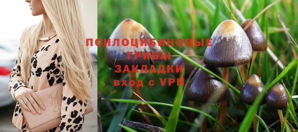 соль ск Каменск-Шахтинский
