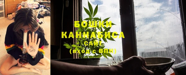 индика Инта
