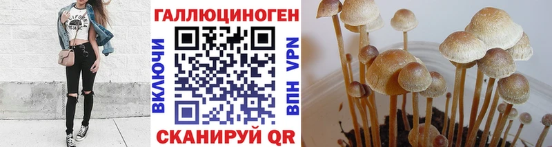 Галлюциногенные грибы Psilocybine cubensis Купить закладки Выборг